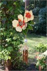 Two Flowers Wind Chime, cream